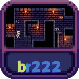 br222